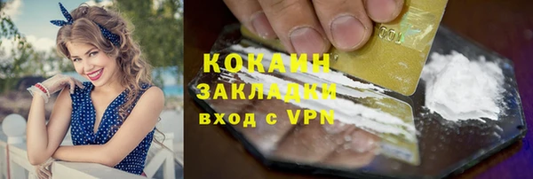 бошки Бородино