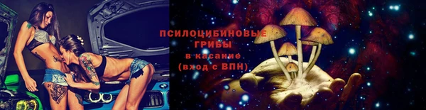 бошки Бородино