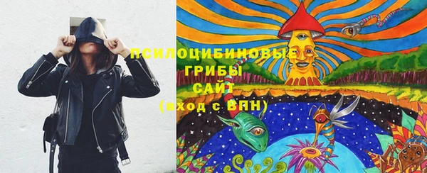 бошки Бородино