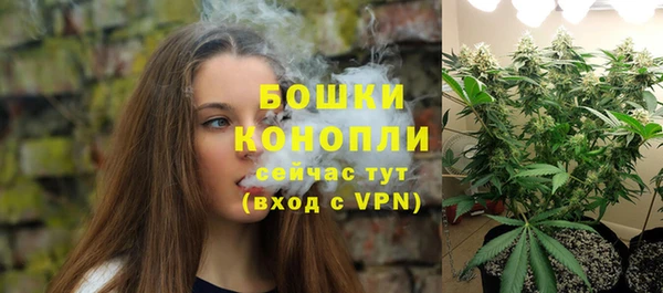 сатива Бронницы