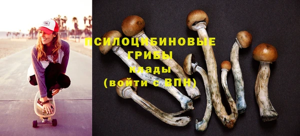 бутират Бугульма