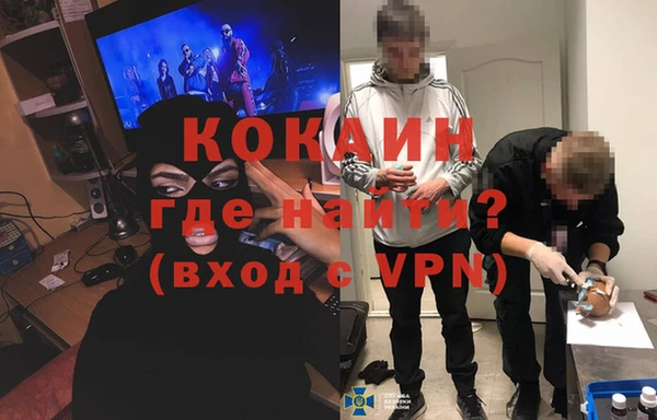 сатива Бронницы