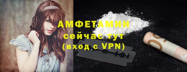сатива Бронницы