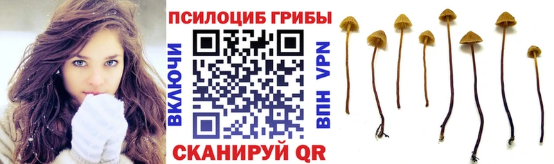 Псилоцибиновые грибы Psilocybine cubensis  Сосногорск 
